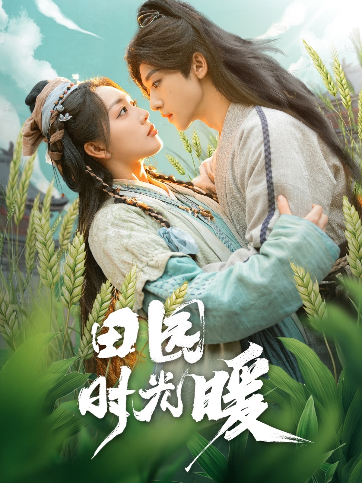 田园时光暖(全集)